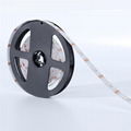 5V, 12V, 24V Digital SMD5050 RGB Flexible led strip light, lights