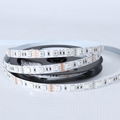 12V 24V 4in1 SMD5050 RGBW Led Flexible Strip Light