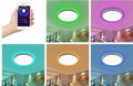 Smart WIFI+BLE Ceiling Panel light