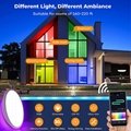 Smart WIFI+BLE Ceiling Panel light 15