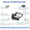 60W 80W Surface Mounted IP65 LED Wall Mounted Pack Lights for Garden 10