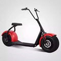 Citycoco E-sccoter Harley Motor Two Wheel Hoverboard Scooter