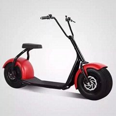 Citycoco E-sccoter Harley Motor Two Wheel Hoverboard Scooter