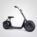 Citycoco E-sccoter Harley Motor Two Wheel Hoverboard Scooter 2