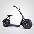 Citycoco E-sccoter Harley Motor Two Wheel Hoverboard Scooter