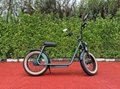 20inch big wheel electric scooter