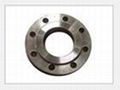 TOBO GROUP ASTM ASME A182F321 F51 FLANGE 