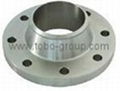 TOBO GROUP DIN 17440 1.4301 1.4304 flange forging