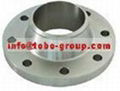 TOBO A182 F304L  F316L WN SO FLANGE