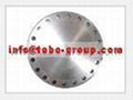 TOBO A182 F304L  F316L WN SO FLANGE 2