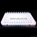 创萌LAB-EYE 7500fast专用高缘0.1ml半裙边磨砂96孔PCR板LE2211 3