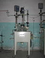 Glass Reaction Reactor