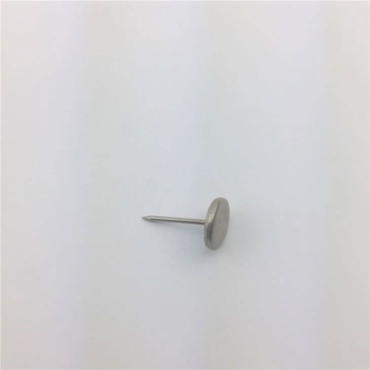 Security Pin