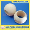 ceramic ball valve and seat 2