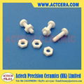 ceramic screw and nut