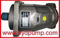 Brueninghaus Hydromatik Rexroth A2F pump motor 1