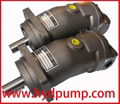 Brueninghaus Hydromatik Rexroth A2F pump motor 2
