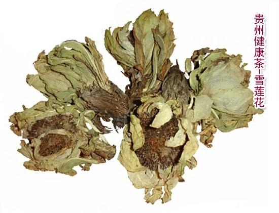 雪莲花雪荷花大苞雪莲snow Lotus 活力树 中国贵州省生产商 健康食品 加工食品产品 自助贸易