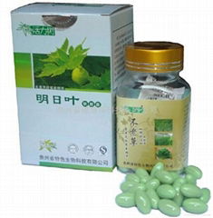 貴州省健康茶科技有限公司