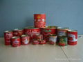 Canned Tomato paste