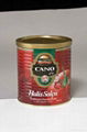 800g Tomato paste in Tin