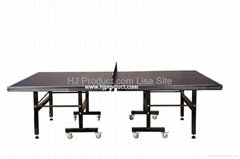 Double foldable moveable Table tennis table  
