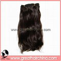 Virgin Human Hair Weft 2