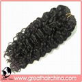 Double Drawn Curly Remy Human Hair Weft