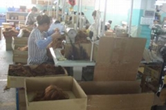 Great Hair Products Co., Ltd Great Hair Products Co., Ltd