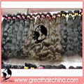 Brazilian Human Hair Extension / Hair Weft 5