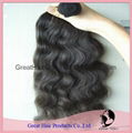 Brazilian Human Hair Extension / Hair Weft 4