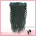 Remy human hair Clip in Hair 4