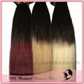 Ombre Hair Extension