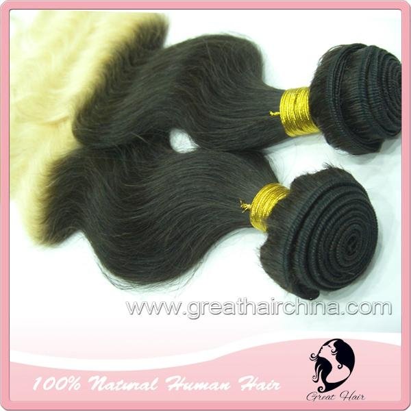 Ombre Hair Extension 3