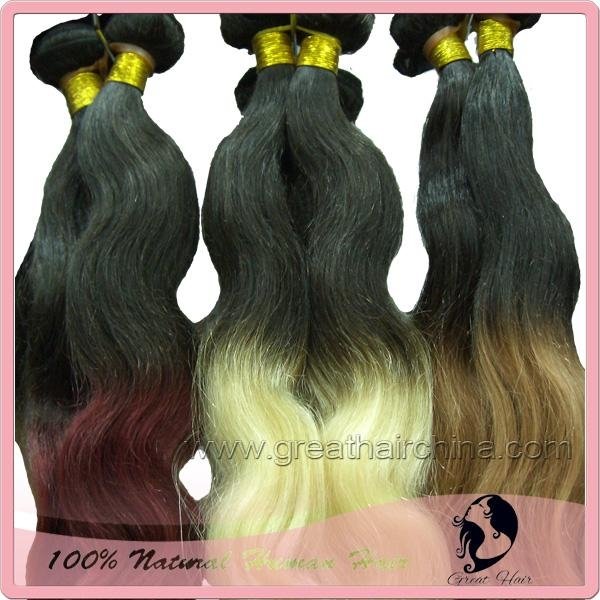 Ombre Hair Extension 2