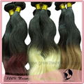 Ombre Hair Extension