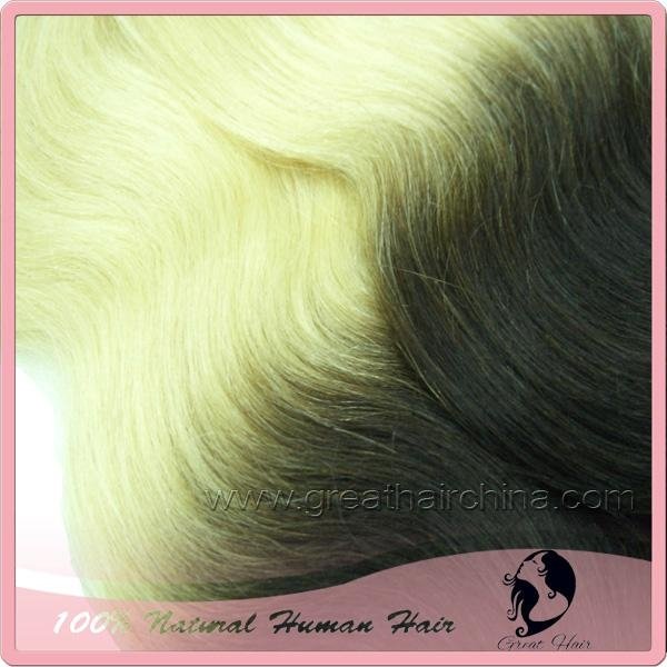 Ombre Hair Extension 4