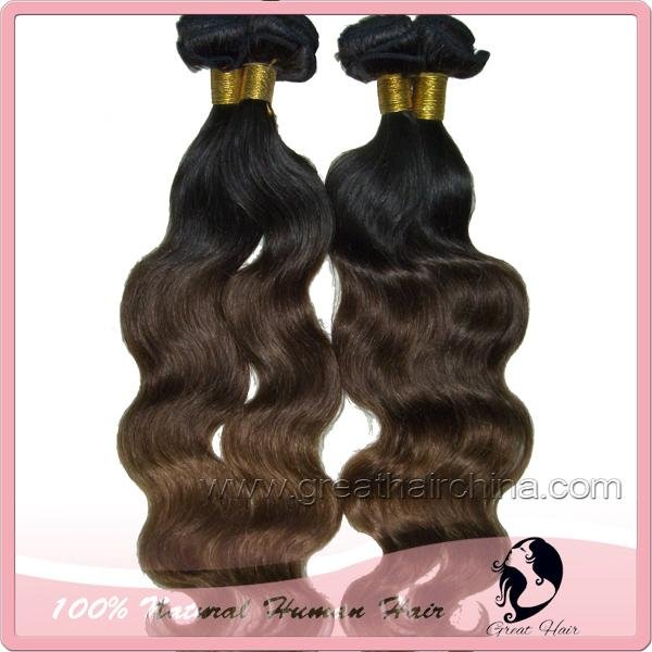 Ombre Hair Extension 5