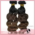 Ombre Hair Extension