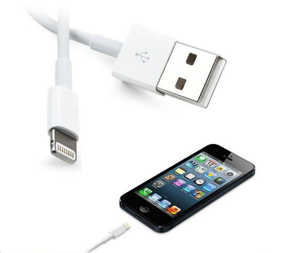 iPhone USB cable with license 3