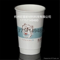 供應16OZ加厚雙層中空杯