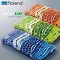 Roland Flatbed UV Printer LEF-300 2