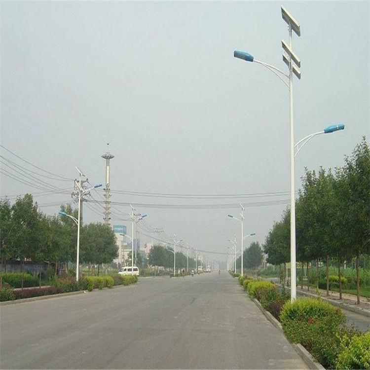 6米30瓦河南光伏照路燈 4