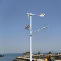 FZY-680 wind solar hybrid road light