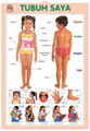 SKELETON--3D EMBOSSED HUMAN BODY ANATOMY CHART/POSTER 4