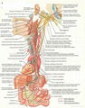 可口可乐三维立体PVC教育挂图/广告画