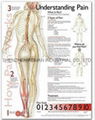 understanding pain--3D RELIEF WALL MEDICAL/PHARMA CHART/POSTER