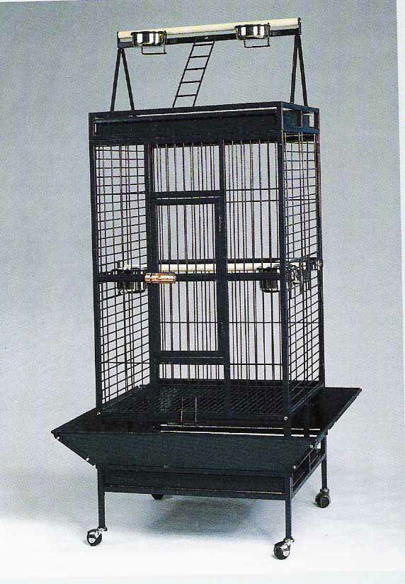 Parrot Cage