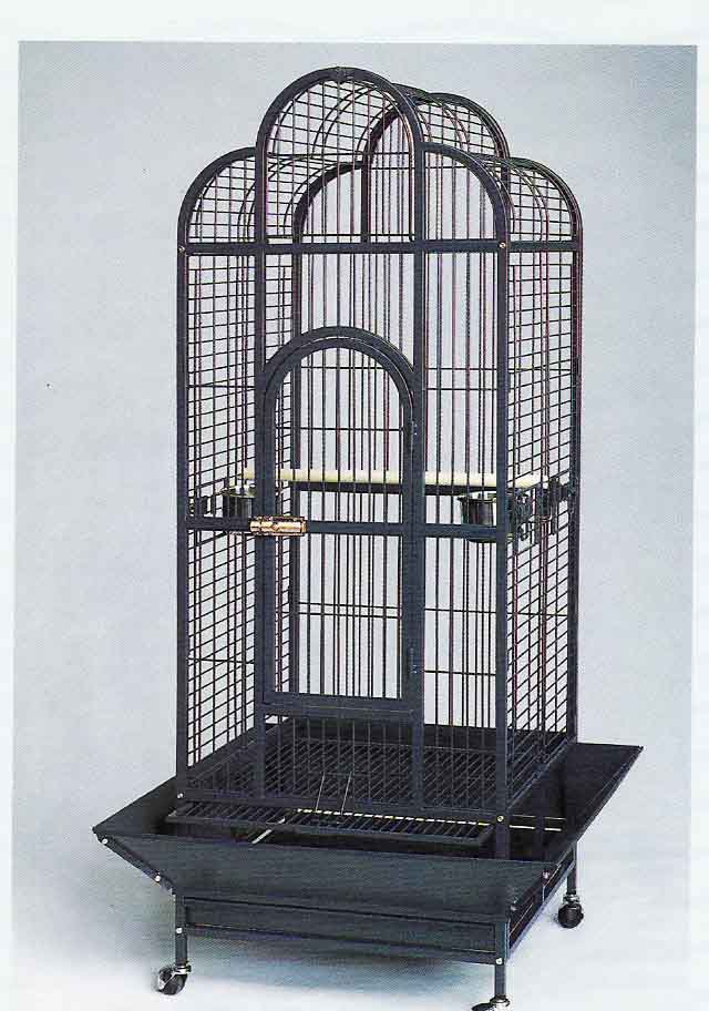 Parrot Cage