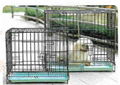 Powder Coating Dog Cage